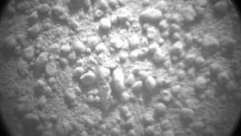 Hand to Earth by Rebecca Brewin