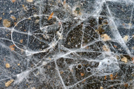 Hand to Earth by Rebecca Brewin