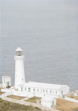 Hand to Earth by Rebecca Brewin