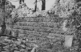 Hand to Earth by Rebecca Brewin