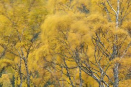 Hand to Earth by Rebecca Brewin