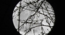 Hand to Earth by Rebecca Brewin