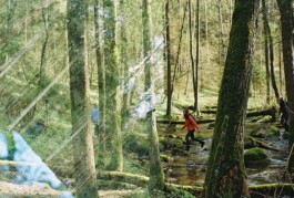 Hand to Earth by Rebecca Brewin