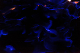 Hand to Earth by Rebecca Brewin