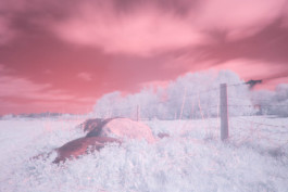 Hand to Earth by Rebecca Brewin