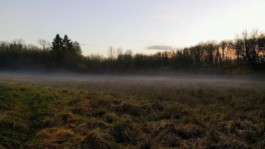 Hand to Earth by Rebecca Brewin