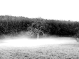 Hand to Earth by Rebecca Brewin