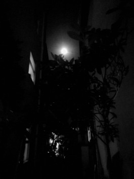 Hand to Earth by Rebecca Brewin