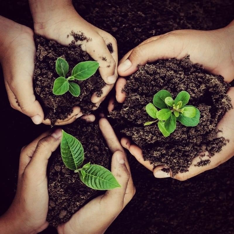 Hand to Earth by Rebecca Brewin