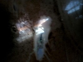 Hand to Earth by Rebecca Brewin