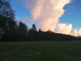 Hand to Earth by Rebecca Brewin