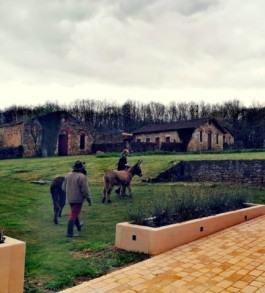 Hand to Earth by Rebecca Brewin