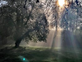 Hand to Earth by Rebecca Brewin