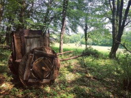 Hand to Earth by Rebecca Brewin