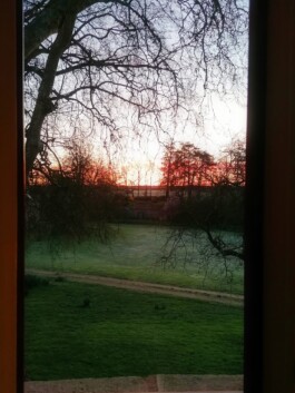 Hand to Earth by Rebecca Brewin