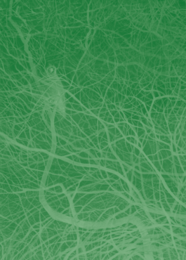 Hand to Earth by Rebecca Brewin