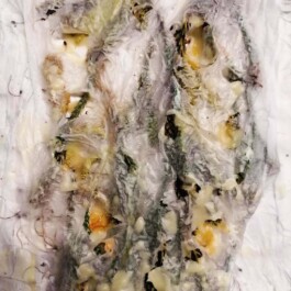 Hand to Earth by Rebecca Brewin