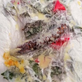 Hand to Earth by Rebecca Brewin