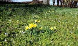 Hand to Earth by Rebecca Brewin