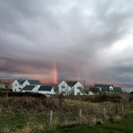 Hand to Earth by Rebecca Brewin
