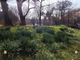 Hand to Earth by Rebecca Brewin