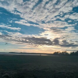 Hand to Earth by Rebecca Brewin