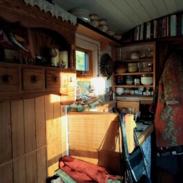 Hand to Earth by Rebecca Brewin