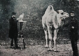 Hand to Earth by Rebecca Brewin